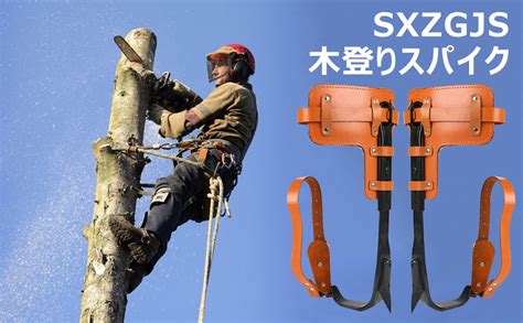 木を登る、新たな可能性を拓く「登り木」