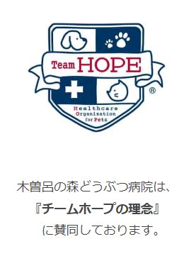 木曽呂の森どうぶつ病院で愛するペットの健康を守る