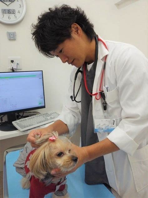 木村愛犬病院：最先端の獣医療で愛犬の健康を守り抜く