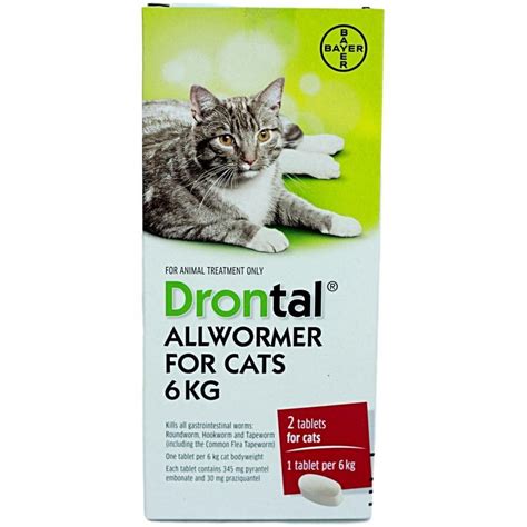 杜絕貓咪蠕蟲困擾，Drontal Cat 杜蟲藥助您一臂之力