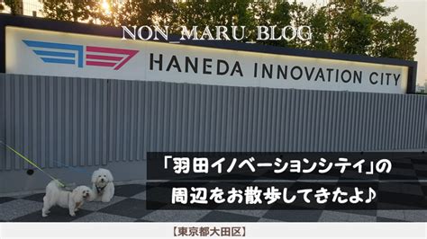 東京・大田区で愛犬と愛猫の健康を守ろう！マリア動物病院の大サービス