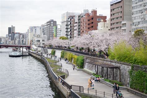 東京田川的三藥都市願景