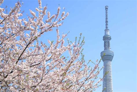 東京都内