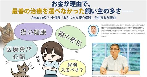 松浦動物病院でペットの最善のケアを受けましょう