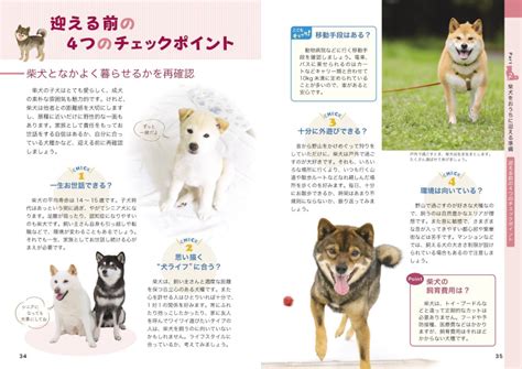 柴犬の飼い方：健康で幸せな愛犬との生活を送るための包括ガイド