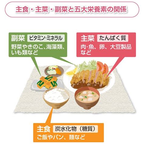 栄養素を豊富に摂取する：