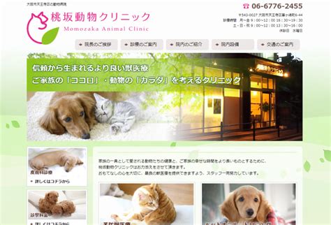 桃坂動物クリニックでペットの健康を守り、幸せな時間を過ごすための包括ガイド