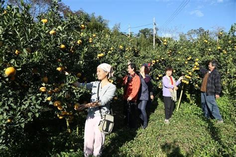 梨之鄉休閒農業區