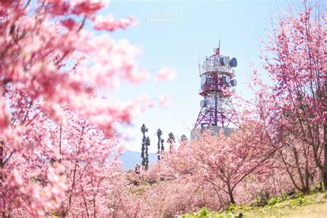 梨山一日遊