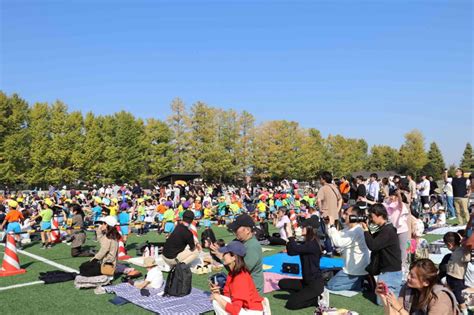 森の音楽祭の歴史