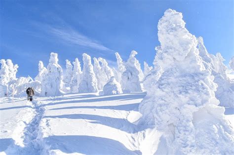 森吉山での快適な宿泊体験：おすすめの宿とヒント