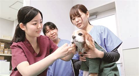 森崎動物病院でペットの健康を護る