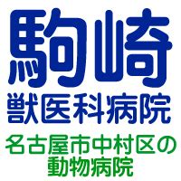 森田獣医科病院で最高の獣医療を体験しよう！