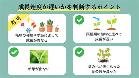 植物の成長を促進する