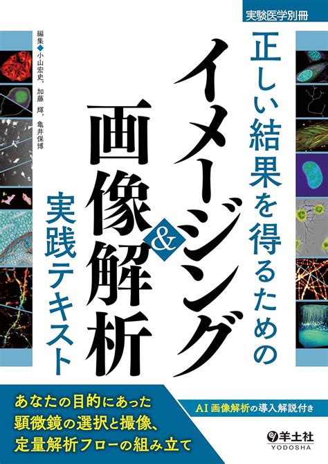 検尿のタイミング：最適な結果を得るためのガイド