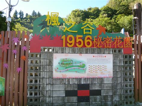 楓 之 谷 1956 秘密 花園