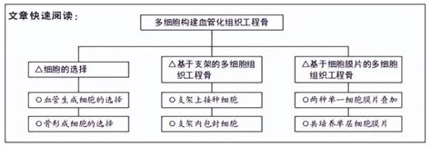 構建和修復組織：