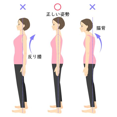 標準体重なのに太って見える原因