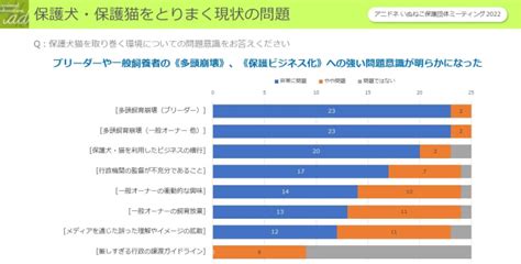 横須賀市における保護猫の現状と取り組み