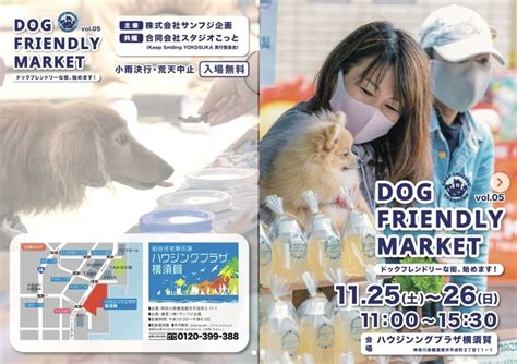 横須賀市保護犬に関する包括ガイド