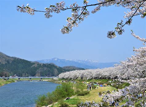 檜木內川堤