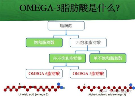 歐米茄-3 脂肪酸：