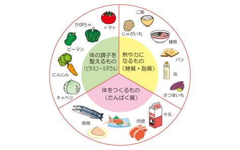 正しいダイエット方法で健康的な体を手に入れよう