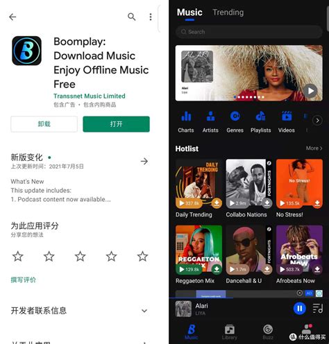 正版歌曲免费下载：畅享高品质音乐，远离侵权风险