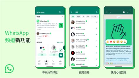 步骤 1：下载 WhatsApp 中文版