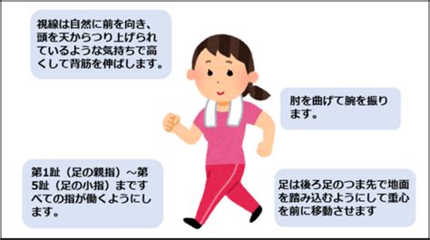 歩くことが好きな方、必見！