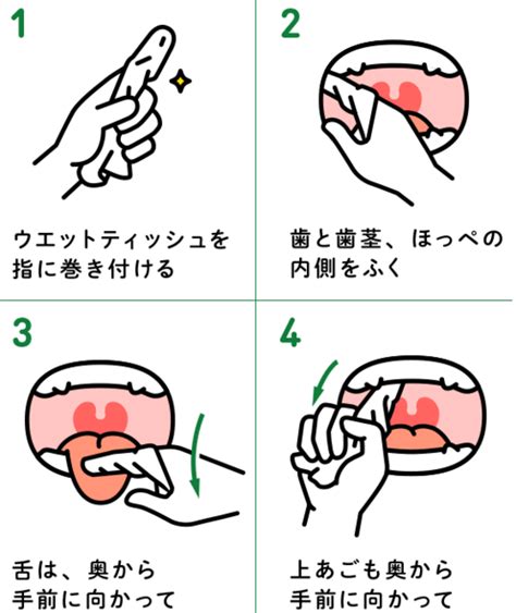 歯磨きシートの使い方