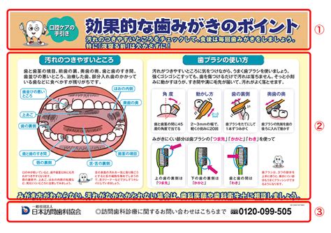 歯磨きシートの正しい使い方で効果的に口腔ケア