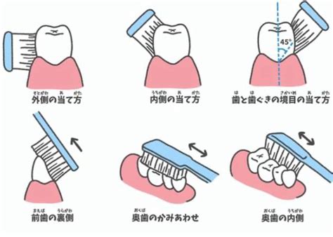 歯磨きシートの正しい使い方で輝く笑顔へ！