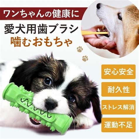 歯磨きシート 犬：愛犬の歯の健康を簡単に守る