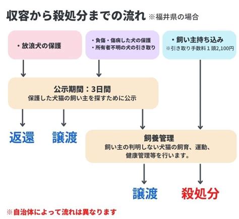 殺処分までにかかる日数