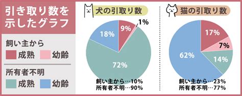 殺処分までの日数：知っておくべき重要な事実