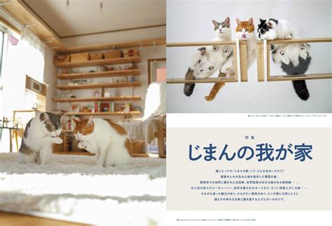 毎日にゃんこで幸せな日々を！ 猫との暮らしを充実させるための完全ガイド