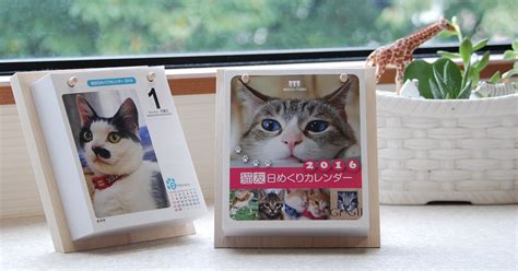 毎日の生活に彩りを与える、かわいい猫たちのカレンダー