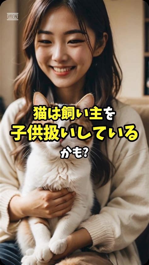 毎日 にゃんこ: 愛猫と過ごす充実した毎日