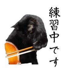 毎日 にゃんこ：猫と過ごす日々をより豊かに