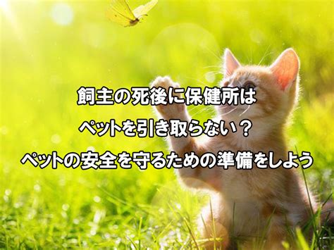 毒エサ猫: ペットの安全を守るための包括ガイド