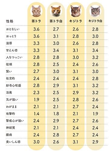 毛色と性格の関係性