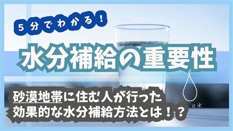 水分村の包括的なガイド：水分の重要性とその健康上のメリット