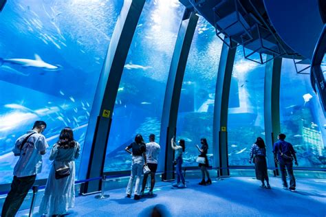 水族館