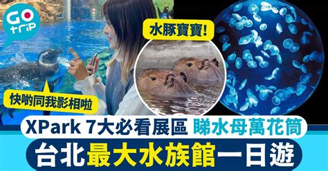 水族館台北遊客數據一覽