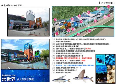 水族館 台北 5 大必體驗，親近海洋生物的奇幻旅程