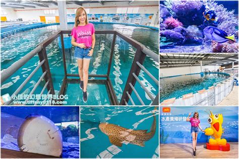 水族館 宜蘭：探索海洋奇觀