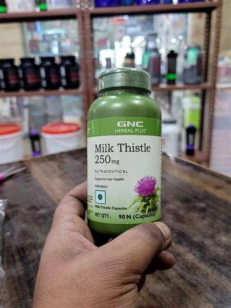 水飛薊草（Milk Thistle）：護肝解毒聖品