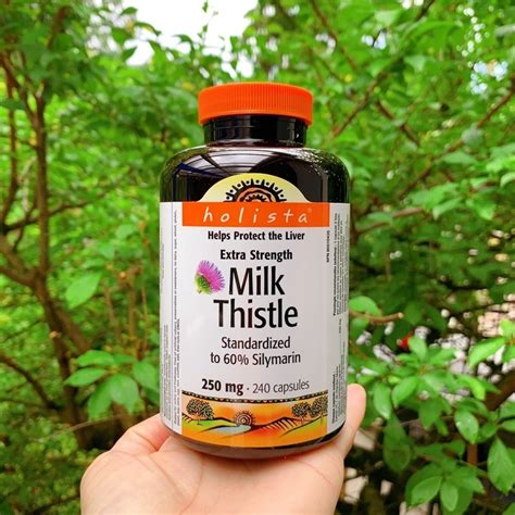 水飛薊 草（Milk Thistle）中文：解肝護肝，天然保肝聖品