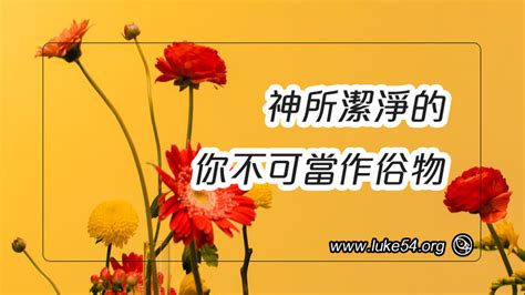 永保潔淨的益處